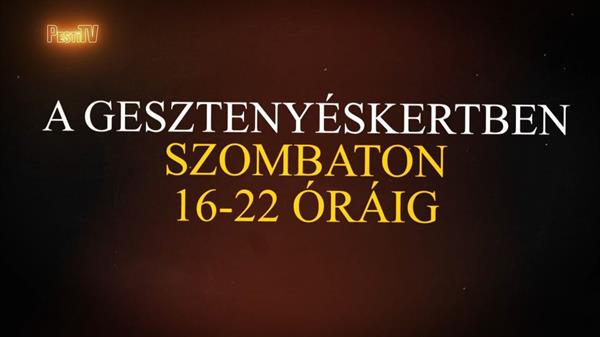 A PestiSrácok mellett állunk!