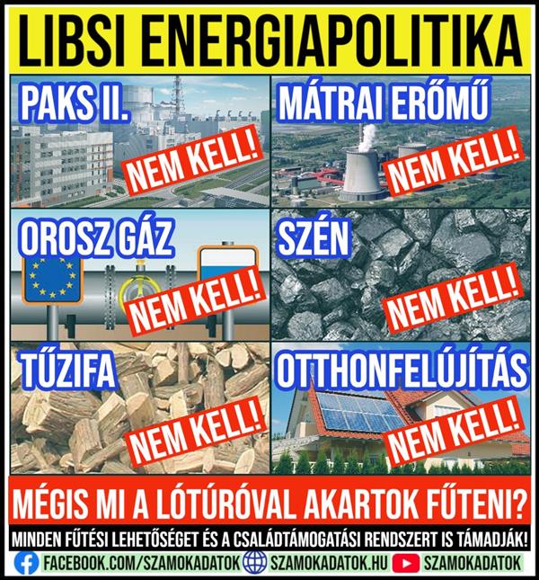 Libsi's energy policy in brief